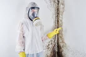 Best Attic Mold Removal  in USA